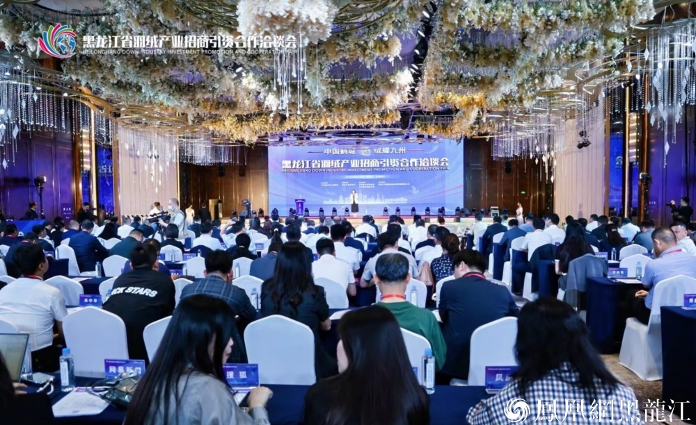 中国鹤城·绒耀九州 | 黑龙江省羽绒产业招商引资合作洽谈会在齐齐哈尔举行