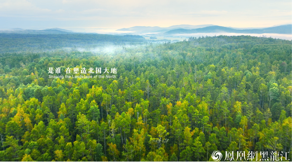 尽览北国好风光！ 黑龙江文旅形象系列宣传片全球发布啦