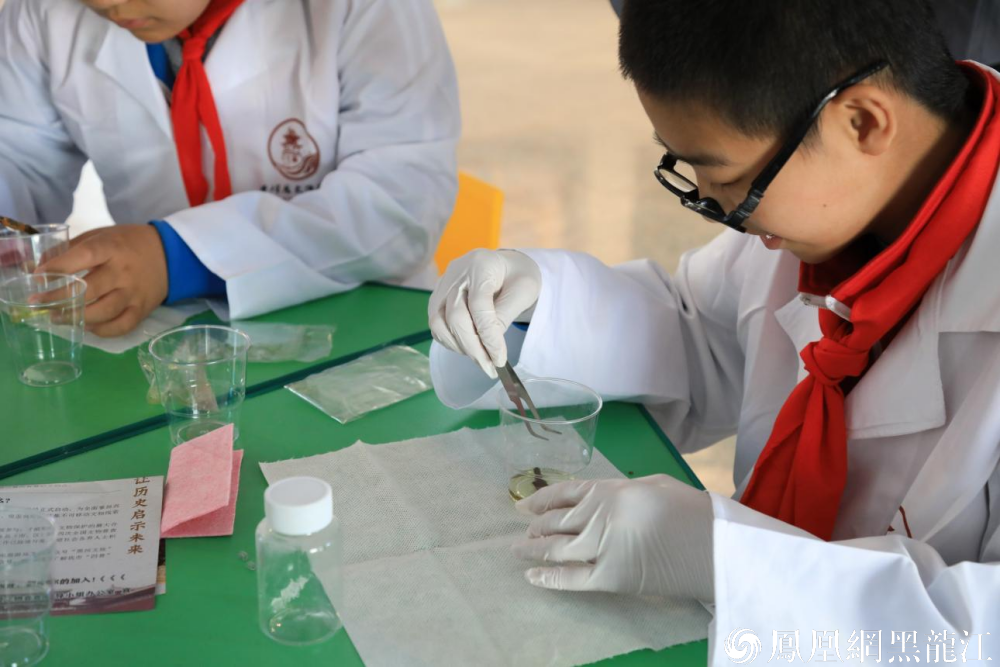 文物保护宣传出新招：黑龙江省公布推介2024年度文化和自然遗产日文物保护活动优秀案例