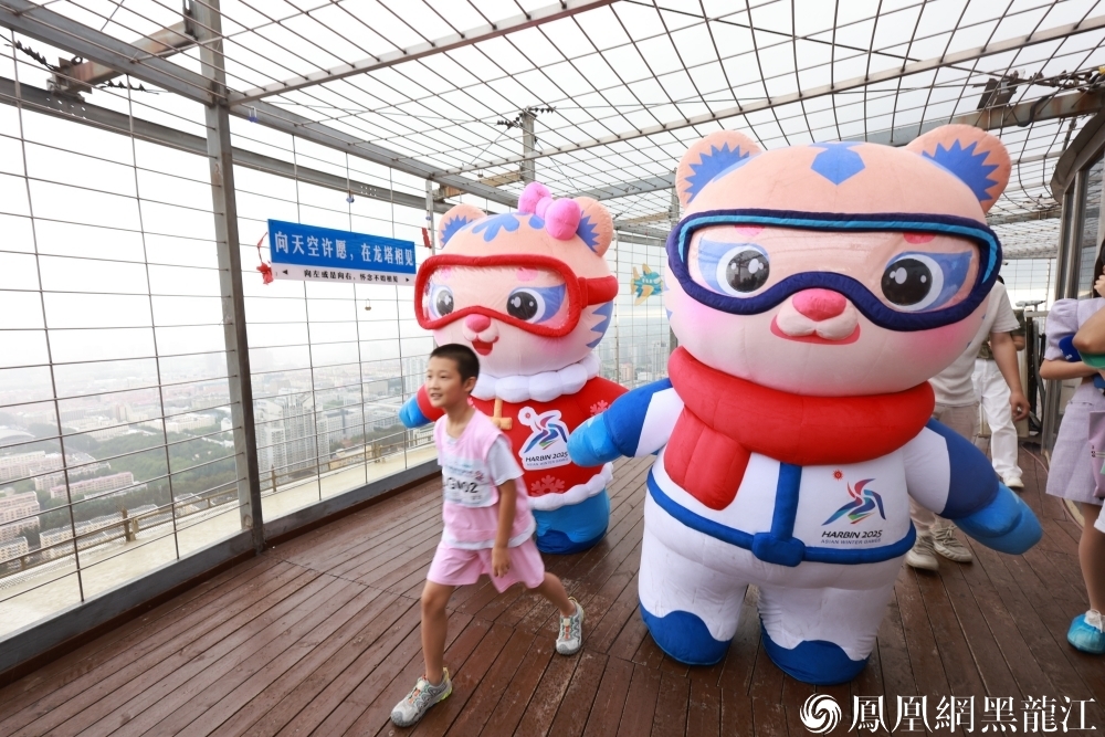 “滨滨”“妮妮”登顶龙塔，纵览冰城壮丽全景