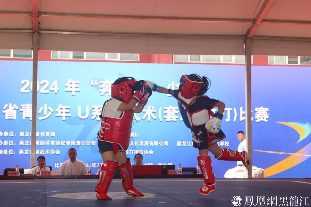 “奔跑吧&middot;少年”2024年黑龙江省青少年U系列散打比赛圆满落幕