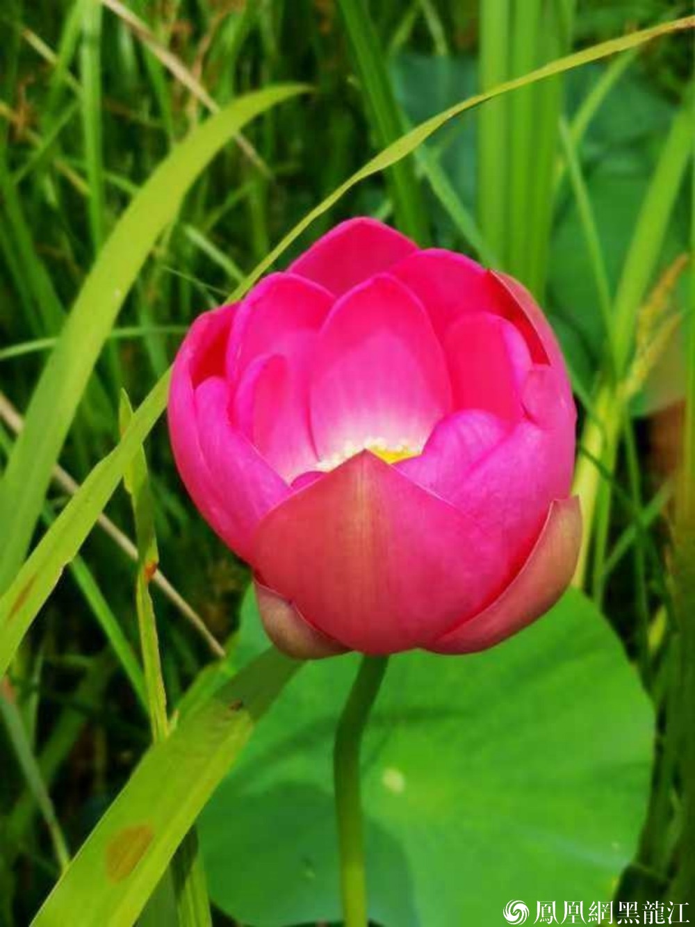 【75年 | 国&middot;家&middot;人】福报说