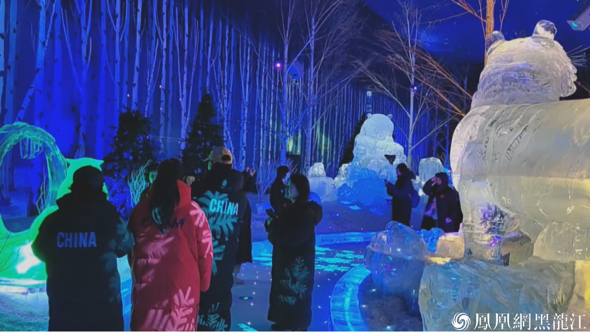 台湾旅行商代表团在哈尔滨梦幻冰雪馆考察