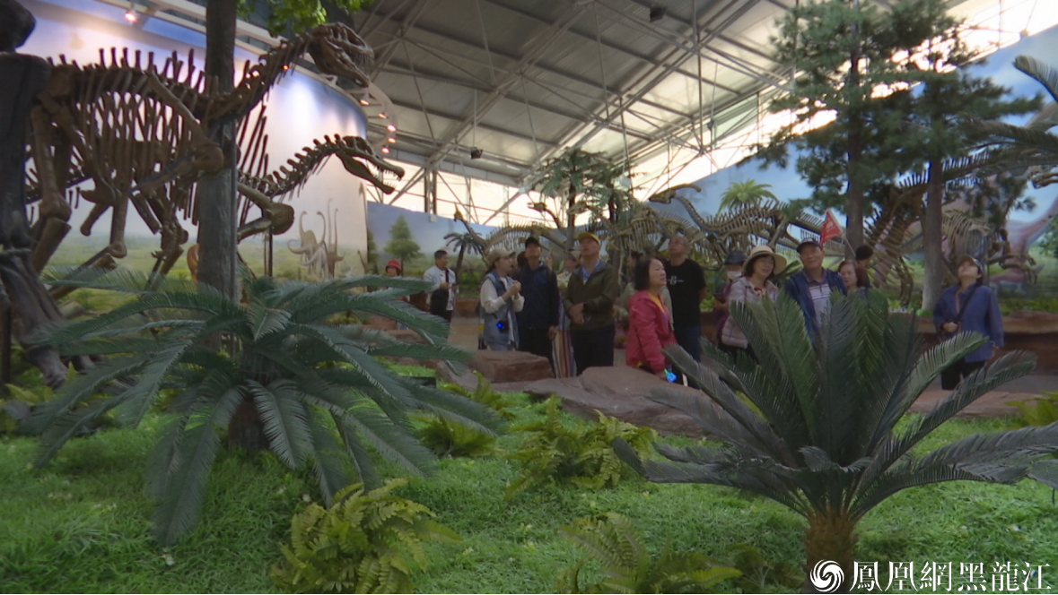 台湾旅行商代表团在嘉荫恐龙国家地质公园考察