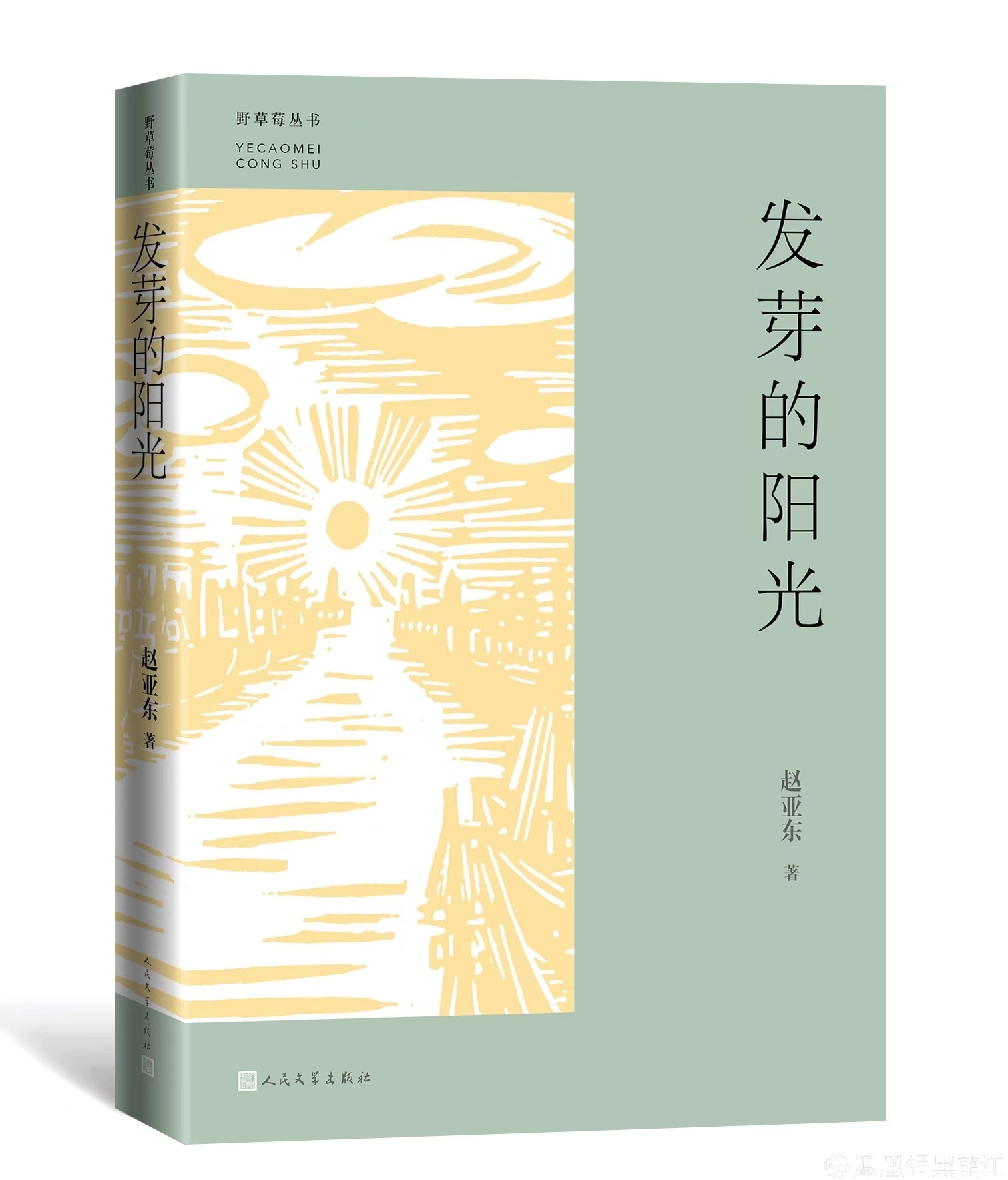 集结龙江文学中坚力量，推动龙江文学繁花似锦“野草莓”丛书发布暨作品研讨会举办