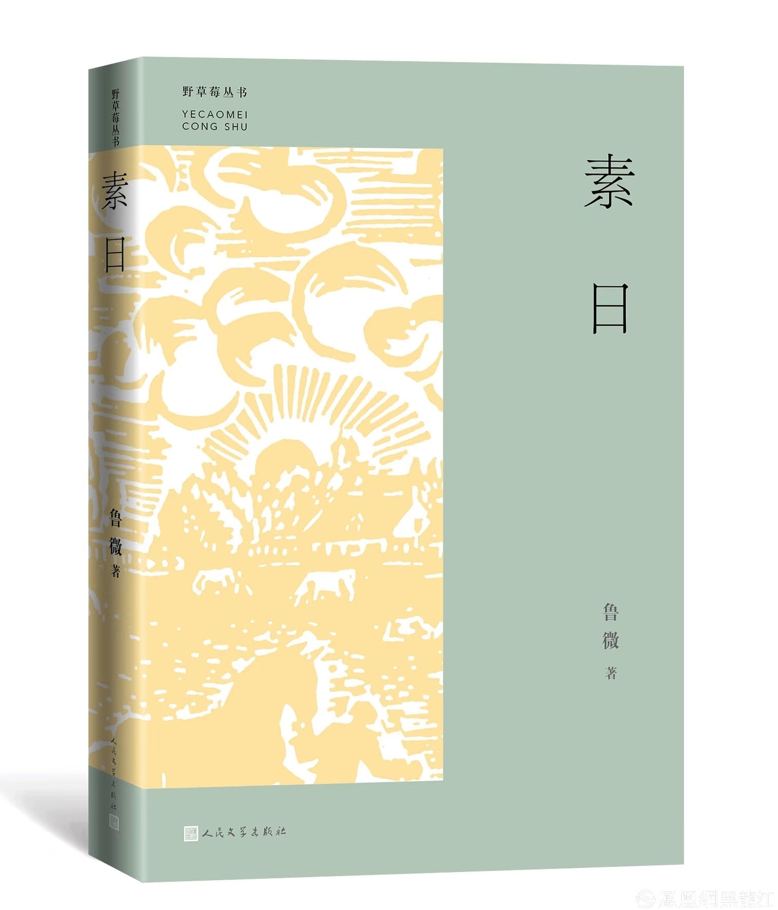集结龙江文学中坚力量，推动龙江文学繁花似锦“野草莓”丛书发布暨作品研讨会举办