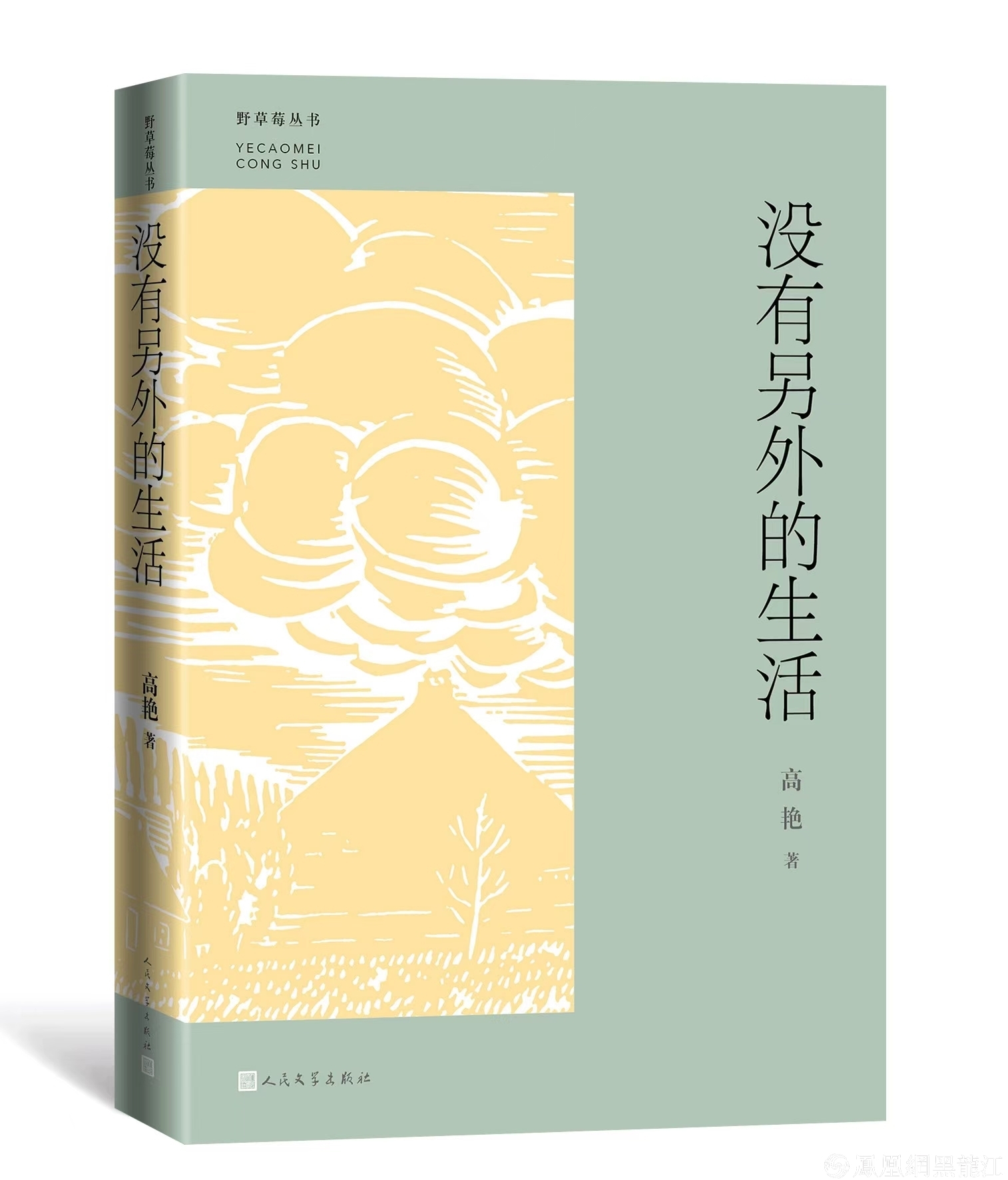 集结龙江文学中坚力量，推动龙江文学繁花似锦“野草莓”丛书发布暨作品研讨会举办