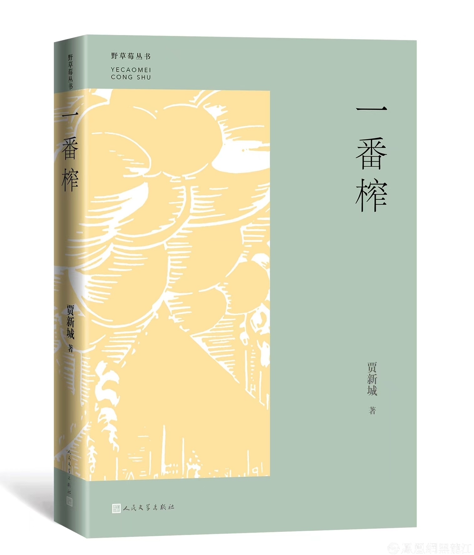 集结龙江文学中坚力量，推动龙江文学繁花似锦“野草莓”丛书发布暨作品研讨会举办