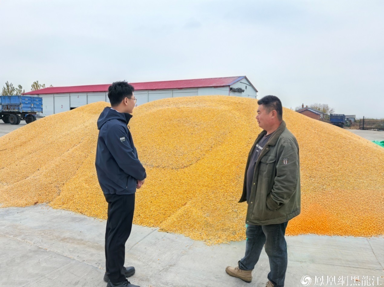 (建设银行克东支行工作人员深入克东县凤文农民专业合作社了解融资需求)