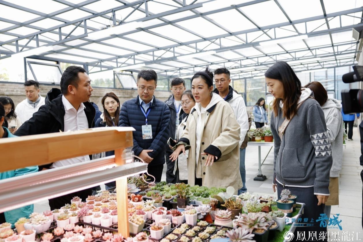 采风团在高都镇电商中心看多肉种植。