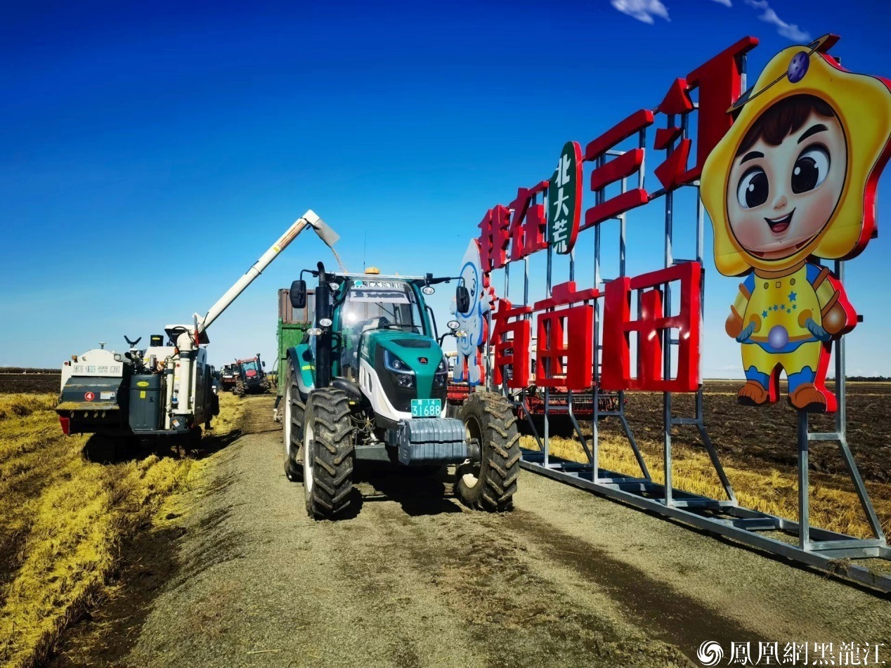 (建三江前进农场秋收作业现场)