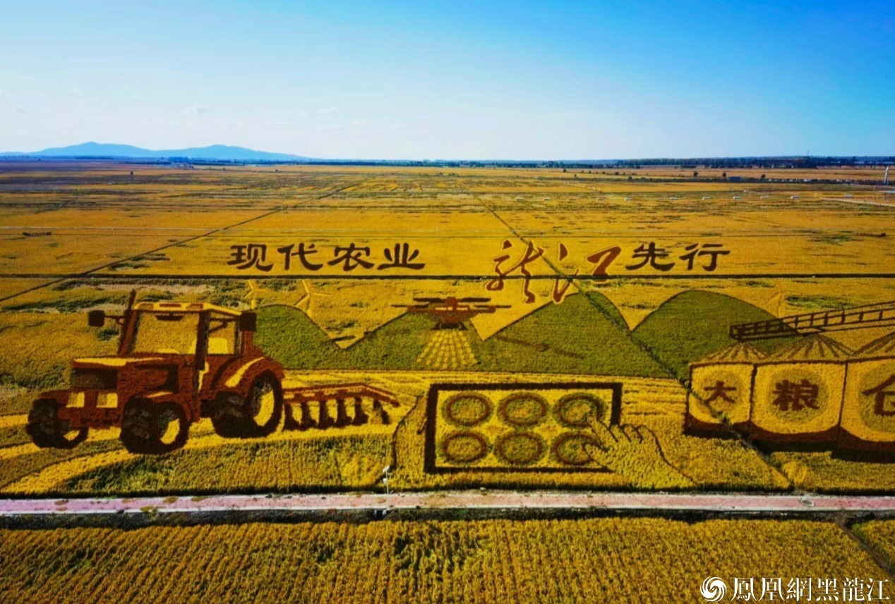 (建设银行黑龙江省分行金融赋能现代化农业)