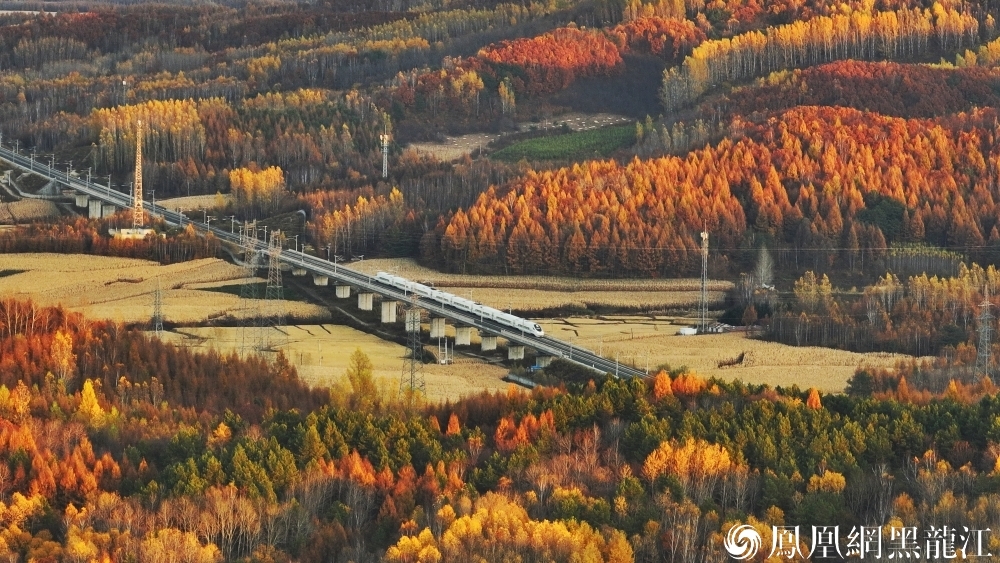 保障亚冬会顺畅出行 亚布力铁路“焕新升级” | 亚布力西站：“冰雪风”装饰，站房扩大一倍 亚布力南站：完成技术改造，为列车提速