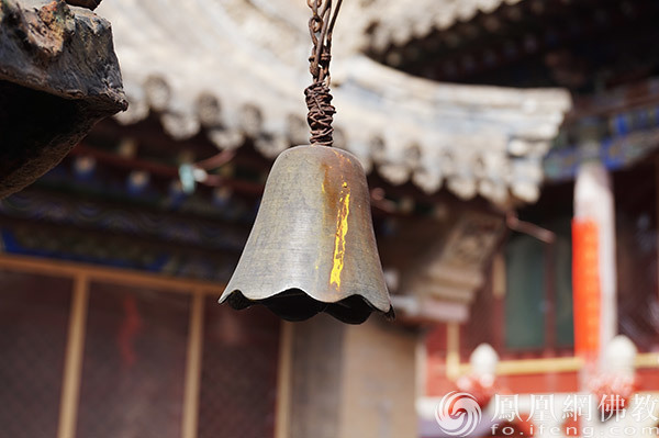 图片开端：网释教文化 照相：闫秀勇