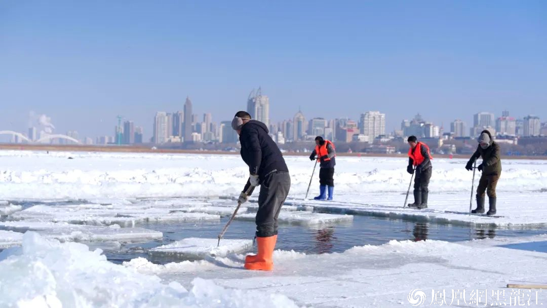 采冰！存冰！哈尔滨冰雪大世界备战下个冰雪季