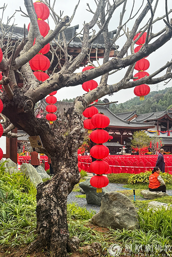 走进广州禅意园林新地标：百花古寺正念园林