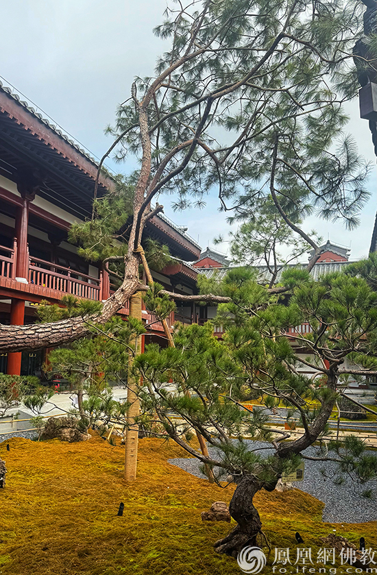 走进广州禅意园林新地标：百花古寺正念园林