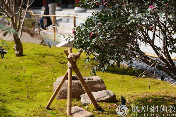 走进广州禅意园林新地标：百花古寺正念园林