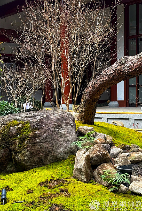 走进广州禅意园林新地标：百花古寺正念园林