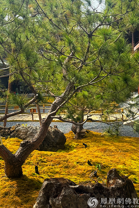 走进广州禅意园林新地标：百花古寺正念园林