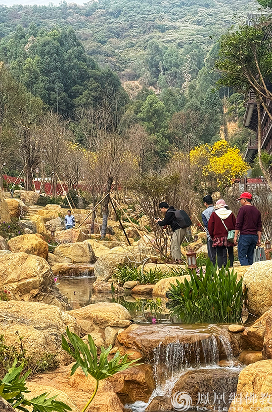 走进广州禅意园林新地标：百花古寺正念园林
