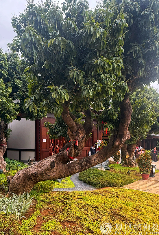 走进广州禅意园林新地标：百花古寺正念园林