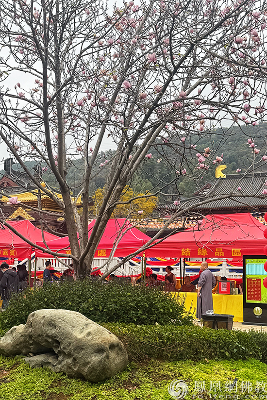 走进广州禅意园林新地标：百花古寺正念园林