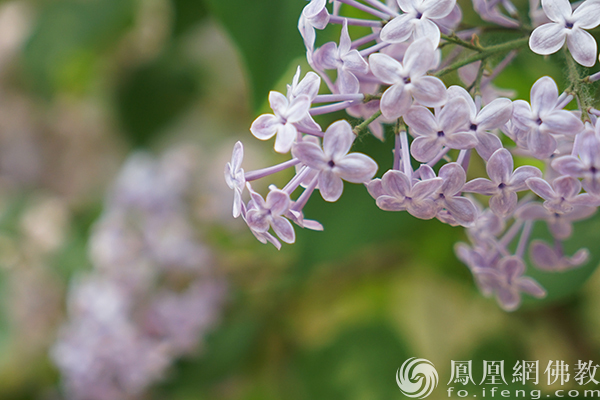 一日禅：好心态_凤凰网