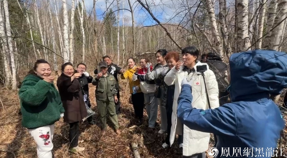 伊春天隆集团桦树汁采集基地