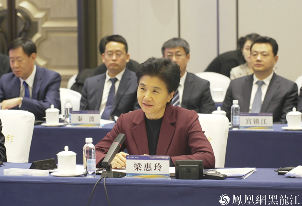 外资逐梦赴龙江 政企同弦谱盛章 | 外资企业“龙江行”政企交流暨外资企业投资恳谈会在哈尔滨举行