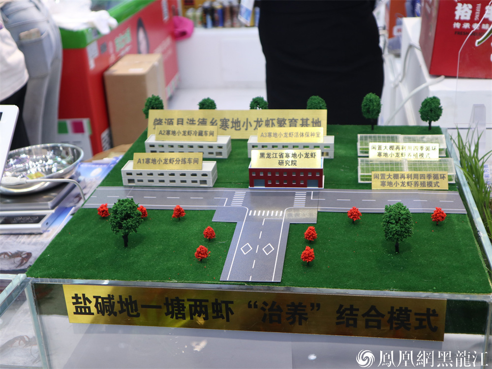 哈洽会主题市首秀｜油城解锁“新质密码”：1357体系奏响中国式现代化强音