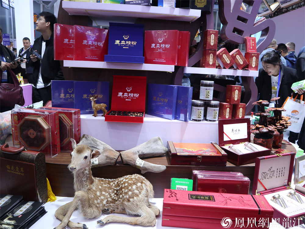 石墨为笔 江湖入画 鸡西市哈洽会上展出开放发展新长卷
