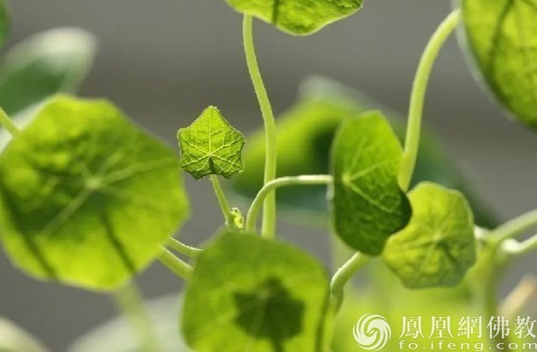 一日禅：共同成就