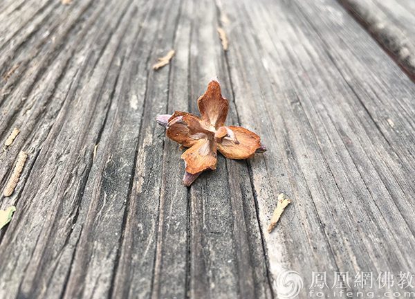 一日禅：时间，要一秒一秒的用_凤凰网