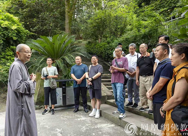 荷你有约！崇州市佛协开展教风建设荷花主题摄影展