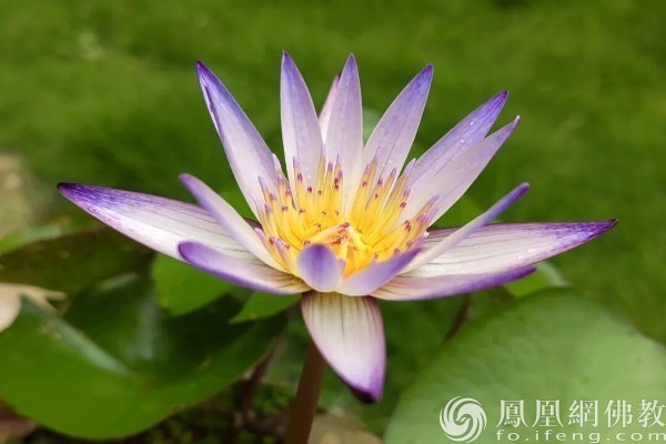 一日禅:随和之人_凤凰网