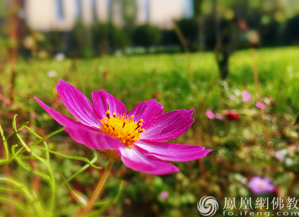 图片来源：凤凰网佛教文化 摄影：闫秀勇
