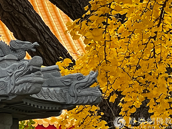 图片来源：凤凰网佛教文化 摄影：妙传