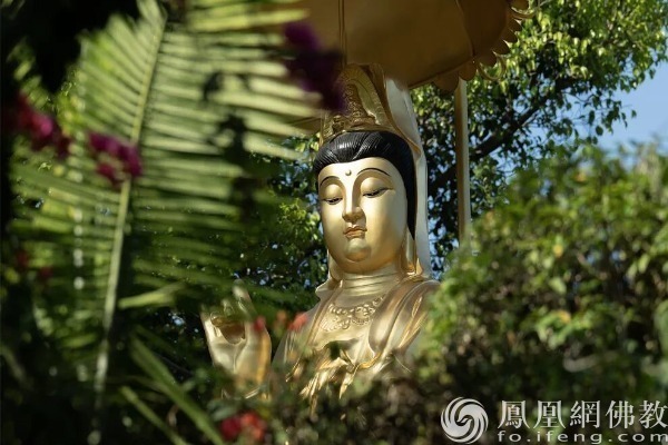 图片来源:凤凰网佛教文化 摄影:净知法师