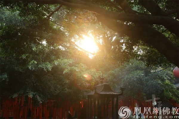 图片来源：网佛教文化 摄影：续果