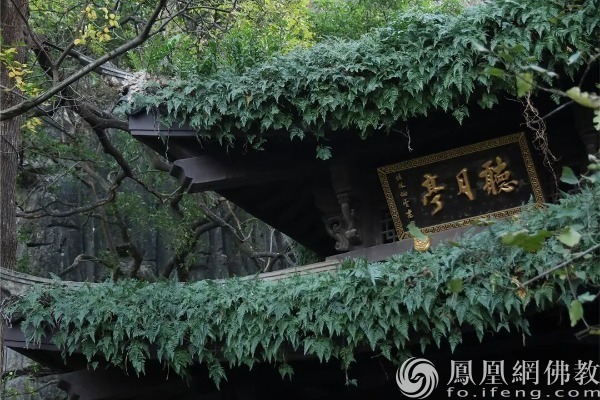 图片来源：网佛教文化 摄影：续果