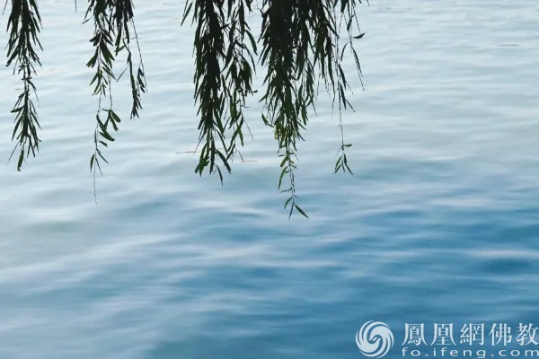 图片源泉：网释教文化 影相：十愿