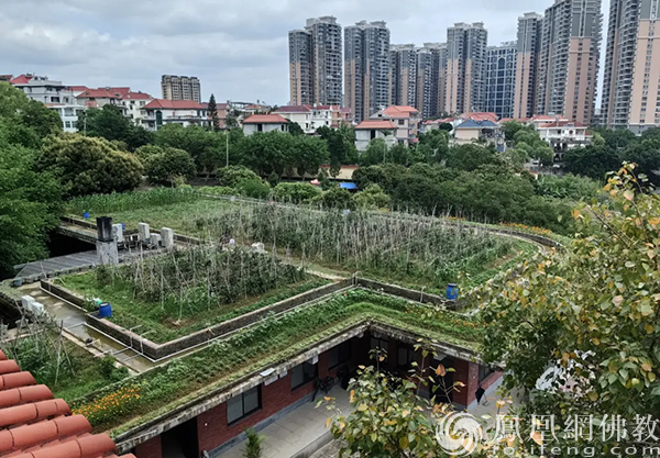 释本性：中国历代高僧从严治教事迹——清正廉洁