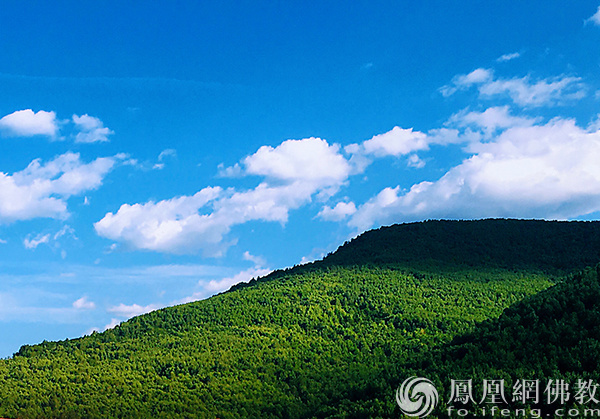 图片来源：网佛教文化 摄影：闫秀勇