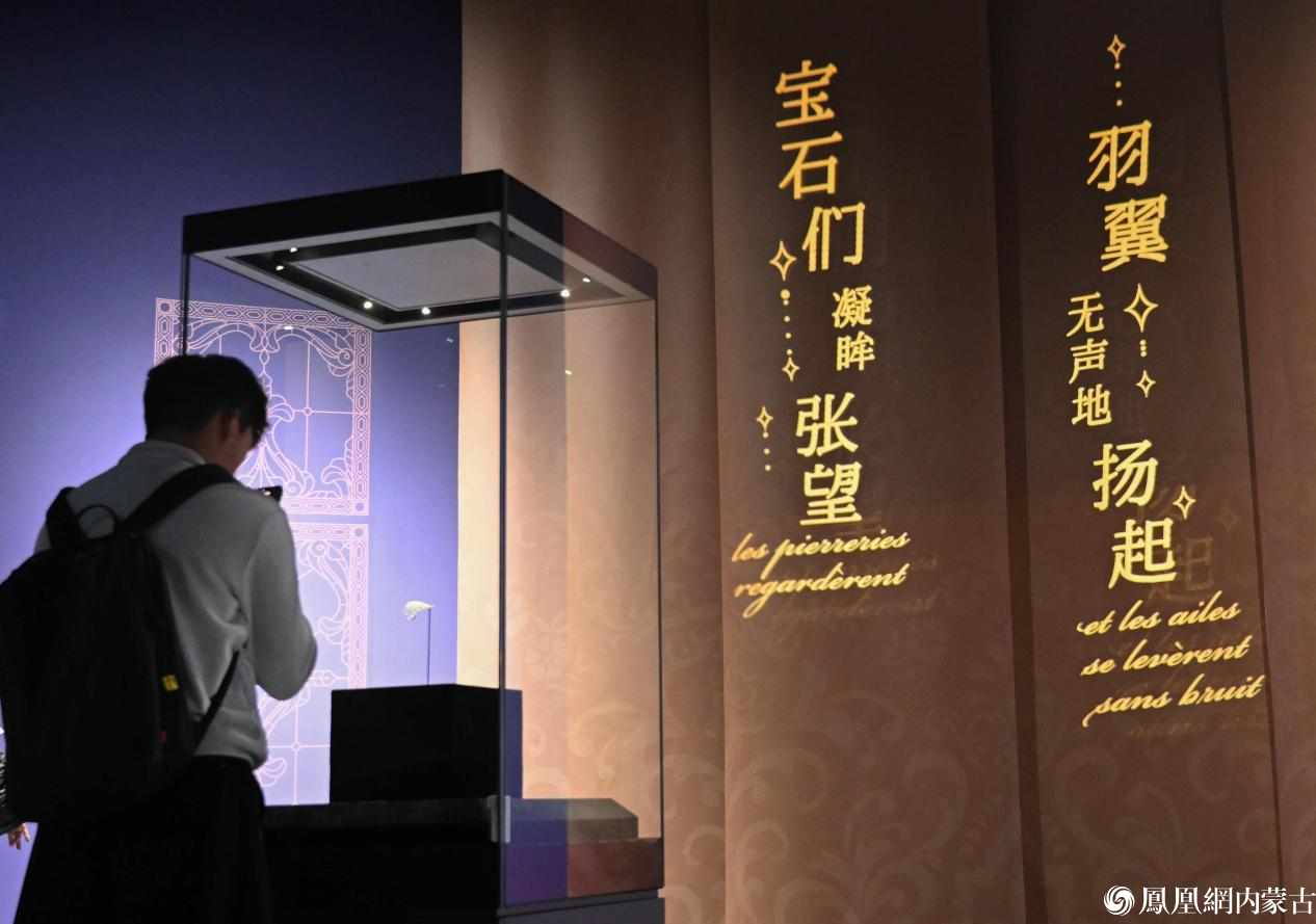 新展剧透！“璀璨：16至20世纪典藏珍宝艺术展”即将亮相内蒙古博物院