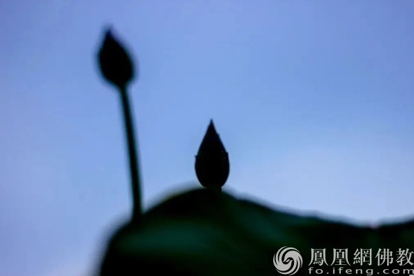 图片来源：网佛教文化 摄影：十愿