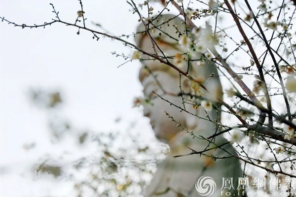 图片来源：网佛教文化 摄影：耀弘法师