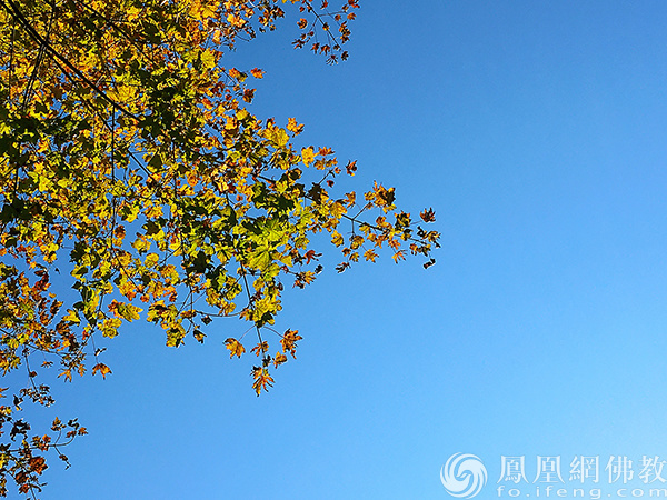 图片来源:网佛教文化 摄影:闫秀勇