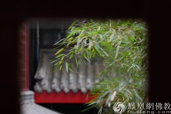 图片起首：网释教文化 影相：十愿