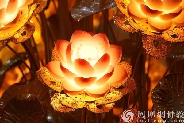图片开始：网释教文化 照相：十愿